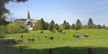 Idylle am Ortsrand Idylle am Ortsrand mit Blick zur Kirche